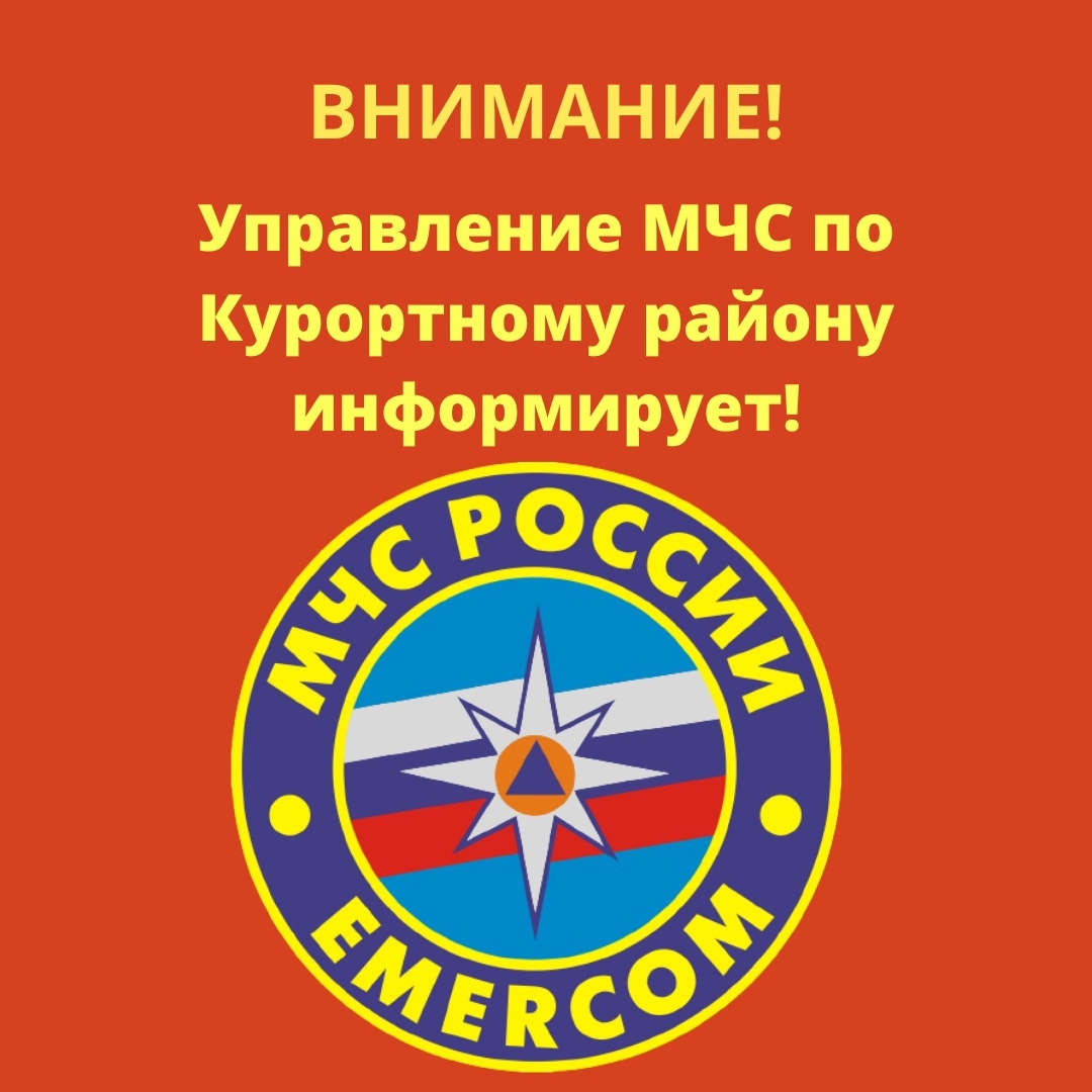 Причины пожаров разные, а виновник один – человек, нарушающий и не  выполняющий правила пожарной безопасности » Официальный сайт  Внутригородского МО Санкт-Петербурга город 